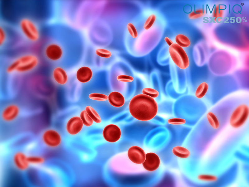 Tăng sinh tế bào gốc nội sinh điều trị bệnh thiếu máu không?