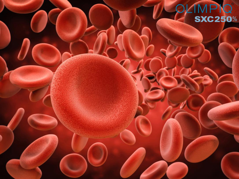 Tế bào gốc tạo máu với bệnh nhân thiếu máu